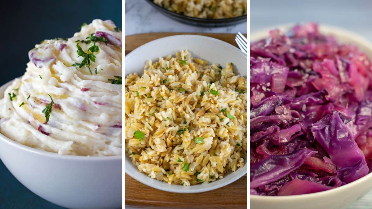 jagerschnitzel - Article 1